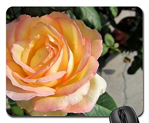 Preisvergleich Produktbild Yellow rose Mouse Pad, Mousepad (Flowers Mouse Pad)