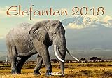 Image de Elefanten 2018