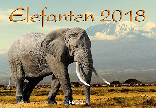 Download Elefanten 2018 Download Elefanten 2018