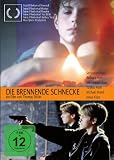 Die brennende Schnecke - Barbara Auer