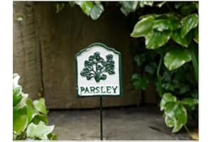 GIFTS DIRECT 2 U Metal Herb Markers Plants Labels Garden Sign Outdoor Herbs Tags Heavy Duty (Parsley)