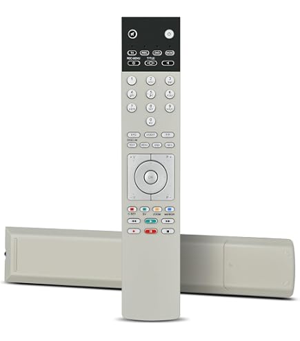 Loewe Assist 1 Alu Silver Programmable System Remote Control for