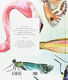Image de Vida. Bestiario ilustrado por Joana Santamans (Bridge, Band 4)