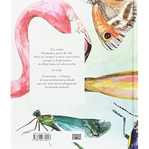 Vida. Bestiario ilustrado por Joana Santamans (Bridge, Band 4)
