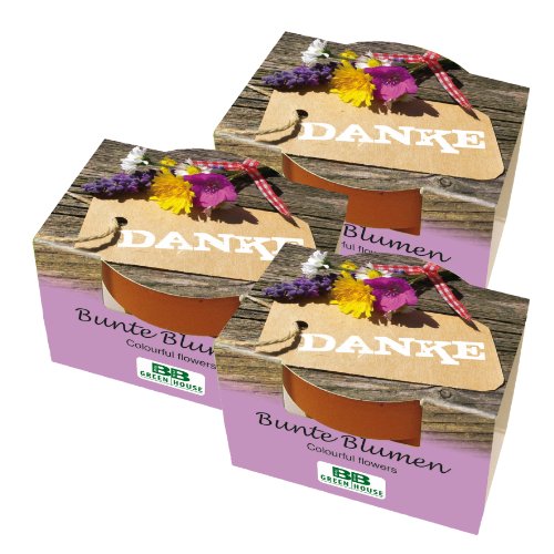 3er Set Mini-Pflanzset 'Danke'