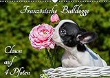 Französische Bulldogge - Clown auf 4 Pfoten (Wandkalender 2016 DIN A3 quer): Französische Bulldoggen auf 13 zauberhaften Fotos (Monatskalender, 14 Seiten ) (CALVENDO Tiere) by