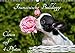Französische Bulldogge - Clown auf 4 Pfoten (Wandkalender 2016 DIN A3 quer): Französische Bulldoggen auf 13 zauberhaften Fotos (Monatskalender, 14 Seiten ) (CALVENDO Tiere) by