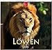 MF-Kalender Löwen 2019 by