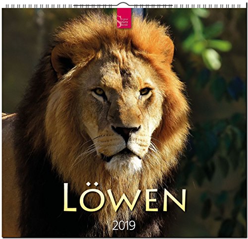 MF-Kalender Löwen 2019