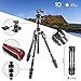 Price comparison product image Manfrotto MKBFRTC4GT-BH Befree Advanced Travel Tripod, Twist Lock with Ball Head for Canon, Nikon, Sony, DSLR, CSC, Mirrorless, Up to 10 kg, Lightweight with Tripod Bag, Carbon, Black