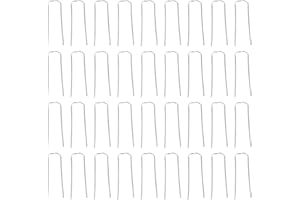 Operitacx Épingles De Verdissement 100 Pièces Épingles De Fabrication Artisanale De Couronne pour Fixation De Plantes Outils De Composition Réutilisables Antirouille