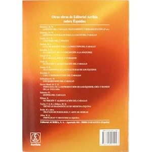 Fisioterapia: masaje del caballo para estar en forma