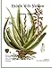 Produktbild Relate With Nature Herbal Magazine: Aloe