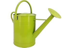 LONGRUNNEW Arrosoir Métallique 6,5L Acier Galvanisé - Résistant à la Rouille, Bec Verseur Amovible, Poignée Mobile, Pot d'Arrosage pour Plantes Int/Ext, Jardin, Pelouse et Fleurs (Vert)