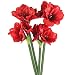 Produktbild Amaryllis künstlich rot Textilblume Weihnachtsdeko 60 cm 4 Stück