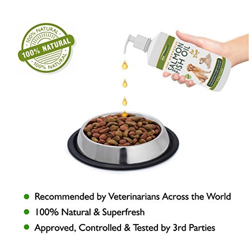 PetAmazed-Pure-Salmon-Fish-Oil-for-Dogs-Cats--Best-Omega-3-Liquid-Food-Supplement-for-Pets--Contains-EPA-DHA-Fatty-Acids-for-Improved-Skin-Coat--Naturally-Supports-Joint-Immune-Brain-Function--Relieve
