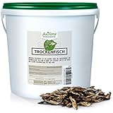 AniForte 2,5 Liter Eimer Trockenfisch 200 g Vital-Snacks Hundeleckerlie- Naturprodukt für Hunde