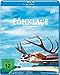 Fhnlage (Blu-Ray) [Import]