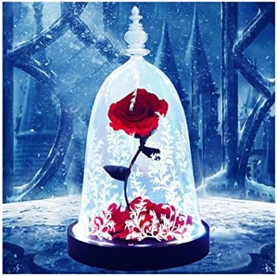Preserved flower roses,Beauty roses and the beast rose,Led light,Handmade diy,Transparent glass cover,Valentine days, Never wither,Colorful decoration-A 28x16cm(11x6inch)