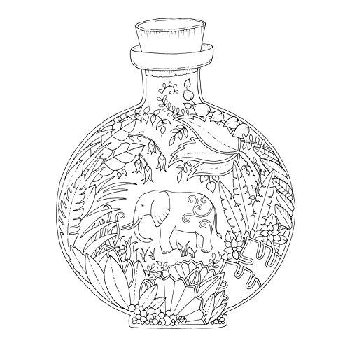 Magical Jungle: An Inky Expedition & Colouring Book (Colouring Books)