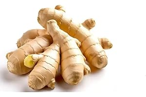 Pound Veg Fresh Ginger Root (1 Kg)