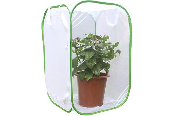ARTOCT de Cage d'insectes, Tente de Serre végétale, Cage d'habitat d'insectes et de Papillon Cage de logement d'insectes Cage d'élevage avec Fermeture à glissière
