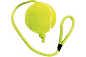 KARLIE VADIGRAN FR - Pannello in PVC per Rottweiler, Colore: Bianco