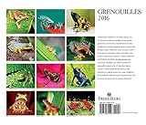 Image de Grenouilles 2016 Calendar