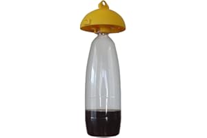 BERNIGROUP 5 Tappi Trappola Bio Ecologica e Selettiva Brevettato e Made Un Italy