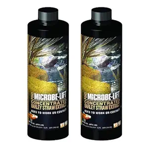 Microbe Lift MLCBSE500 Barley Straw Concentrated Extract Pond Conditioner (32 Ounces)