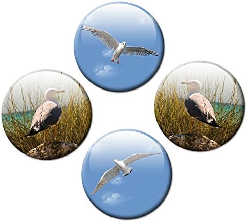 GUMA Magneticum 2524 Fridge Magnets with Seagull Set Diameter 50 mm Pack of 4