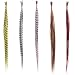 55PCS Synthetic Straight Multi-color Feathers Hairpiece Wig Hair Extension Beauty Tool