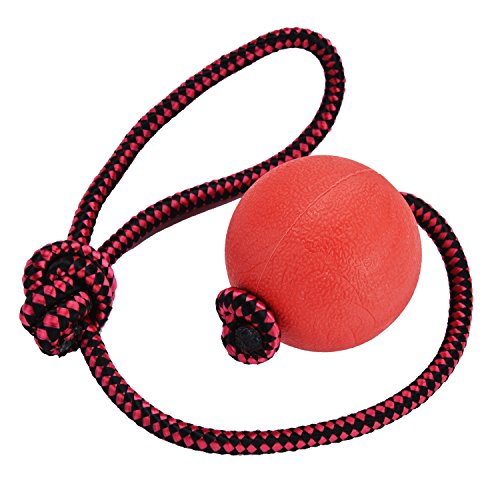 Dog Toys, Legendog 3 Pack Elastic Solid Rubber Dog Balls Toys on A Rope