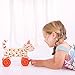 Bigjigs Toys Pull Along (Cat)