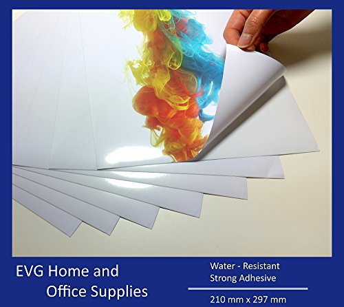 Carta Vinile Adesiva Trasparente PPD - 10 Fogli A4 Per Stampanti Inkjet, Per Adesivi Personalizzati