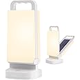 Lepwings Solar Camping Lights Rechargeable Lantern 4400mAh 80 Hours Battery Life for Tent, Emergency Outages, LED Dimmable Lamp Indoor/Outdoor Use [Energy Class A]