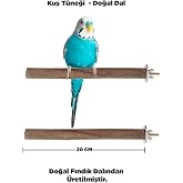 Doğal Ahşap Kuş T&uuml;neği 20 Cm - Ger&ccedil;ek Fındık Dalı
