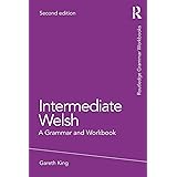 Intermediate Welsh: A Grammar and Workbook (Routledge Grammar Workbooks)