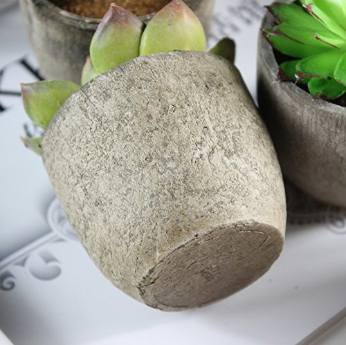 5er Set Sukkulenten 7 x 8cm Kunstpflanze Grün Weiß Kunstblume Deko mit grauen Töpfen - 5
