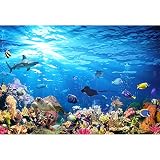💛 Aplicación: Ideal para fiesta, evento, vacaciones, festivales, cumpleaños, boda, recién nacido, niños, niños, adultos, graduación, decoración, producto Fotografía, artística Retrato, TVfilm producción, producto pantallas, etc