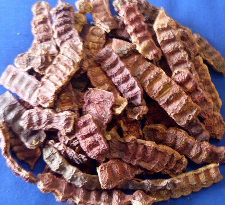 Shikakai Acacia Concinna Fruit Pods Shikakai Ancient Shampoo Hair Cleanser 500gm - 1.1 Lb