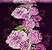 Produktbild Aktivstoffe 79328 Stoffe Chrysantheme, 8 m, lila