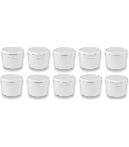 BenBow Secchio con coperchio 3l trasparente 10x 3 litri - sicuro per gli alimenti, stabile, ermetico - secchio di plastica con manico - vuoto