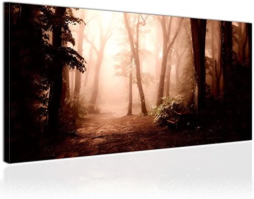 XXL Canvas Print, Panoramic Format 100x50cm (39.4 x 19.7 inch), Path in the Forest, Darkness and Fog at Sunset - Image on Canvas, Wall Decoration - Ready to Hang