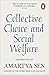 Collective Choice and Social Welfare RS.299.00
