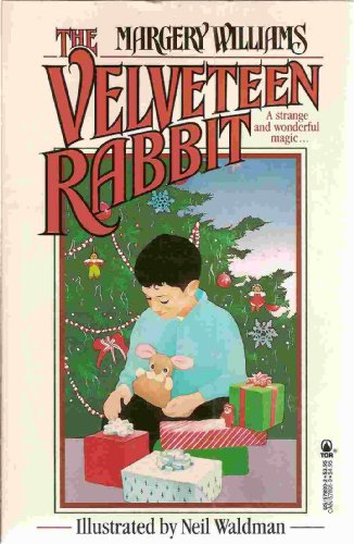 Velveteen Rabbit livre
