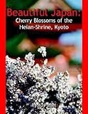 Image de Beautiful Japan: Cherry Blossoms of the Heian-Shrine, Kyoto