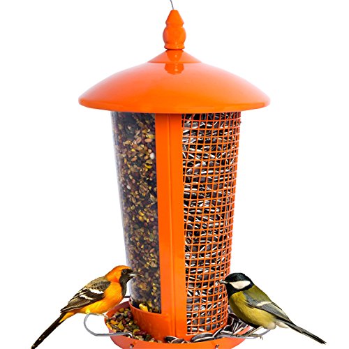 El Mejor Alimentador de Aves Silvestres para Decorar tu Casa o Jardín, Diseñado para todo Tipo de Semillas, Cacahuetes y Frutas Secas, Comedero Decorativo para Exterior.