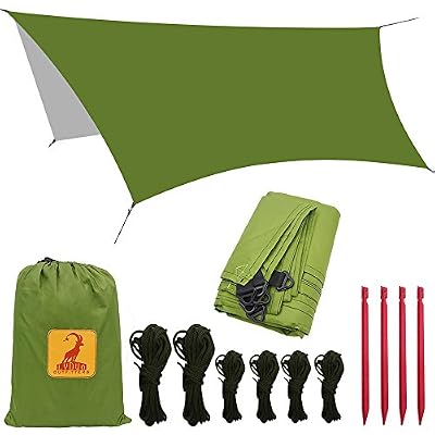 LYDUO Bâche Tente Anti Pluie - Rain Fly Imperméable 3 x 3.5 m Abri de Randonnée Tapis,étanche coupe-vent anti-neige Camping Abri, portable, léger Basha Pare-soleil pour Snow Camping en plein air Voyage, Vert