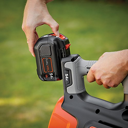 BLACK+DECKER GWC54PC-GB 54 V DUALVOLT Blower with 1.5 and 2 A Charger - Black/Red